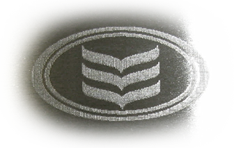 Voise cost concious laser engraving