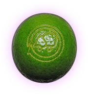 laser engraved lime with mushrooms logo